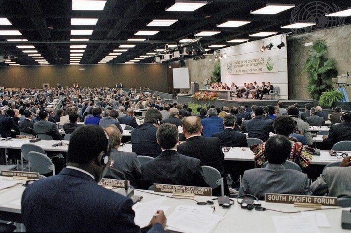 Livro aborda os princípios e outros aspectos do documento gerado pelos debates na Rio 92