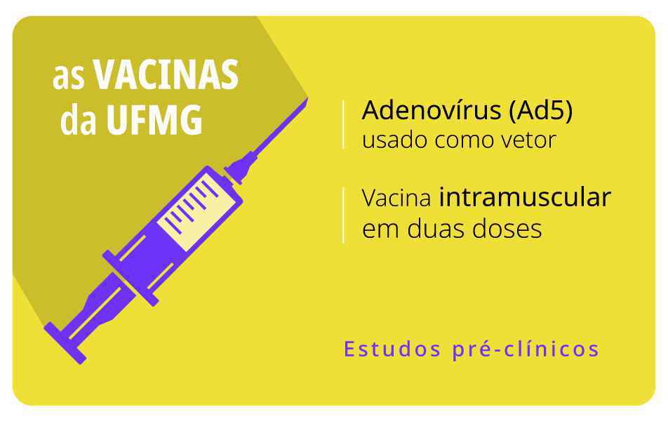 <p>Modificação genética do Adenovírus 5 é a base de outro imunizante&nbsp;em estudos no CT-Vacinas&nbsp;</p><p>&nbsp;</p>