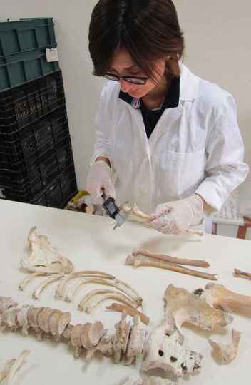 A pesquisadora Serena, uma das autoras do artigo, mede os esqueletos de Pompeia
