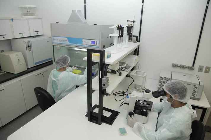 Pesquisadores em laboratório da UFMG: produção crescente