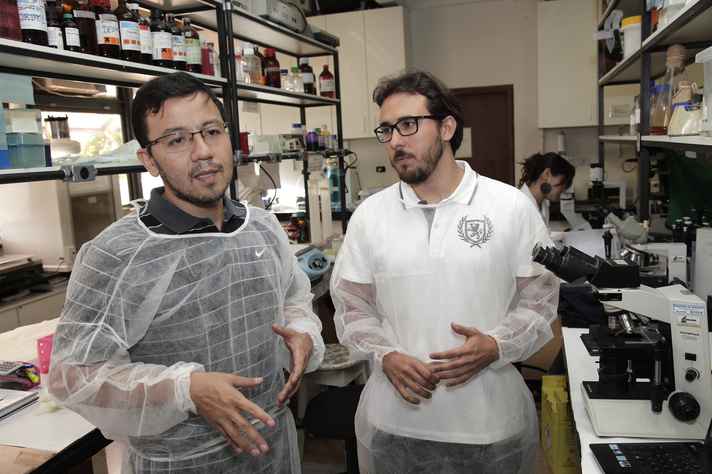 Fujiwara e Gazzinelli: identificação de antígenos na urina