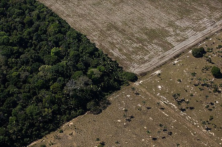 Imagem aérea de gado e plantação de soja em área desmatada próxima a Porto Velho (RO)
