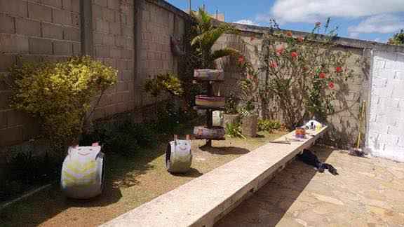 Construção de jardim na escola Jalira Lucchesi de Miranda em Diamantina