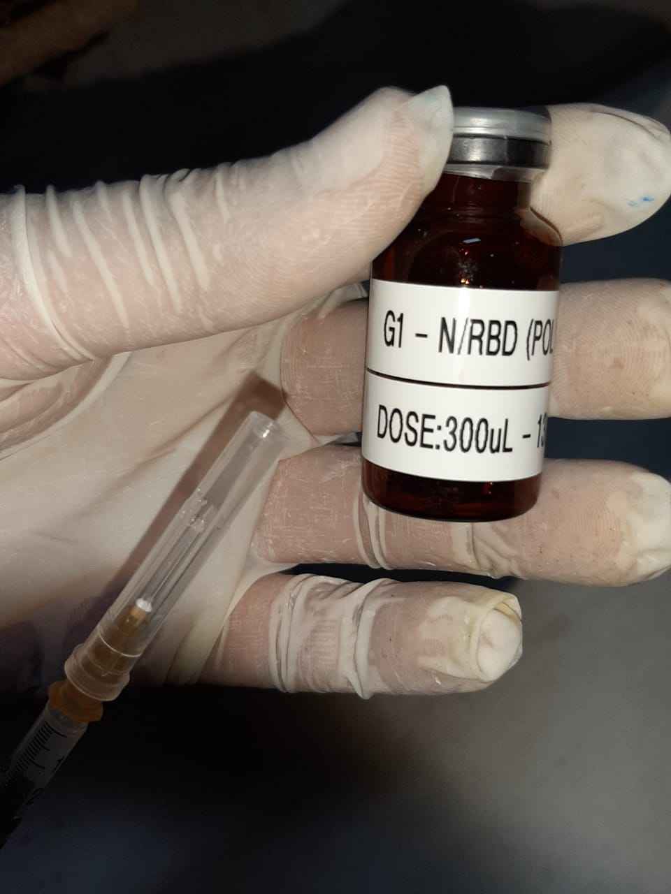 Vacina produzida pela UFMG avança para fase de testes em primatas. Previsão é que testes em humanos tenham início em outubro.