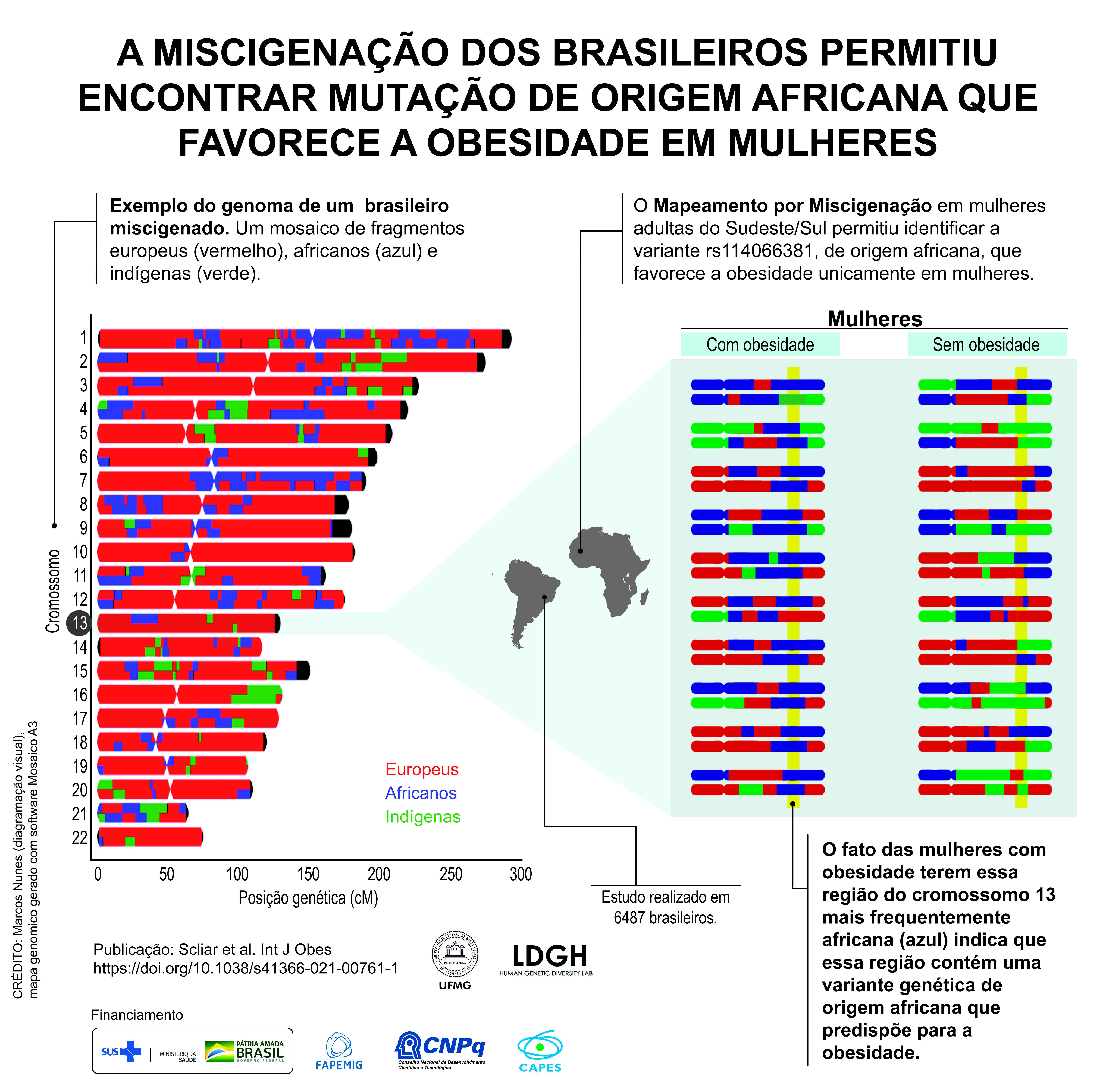 Infográfico elaborado pelo grupo de pesquisa exemplifica a miscigenação do genoma brasileiro
