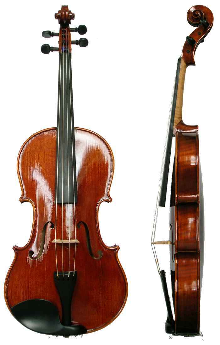 Viola é da família do violino