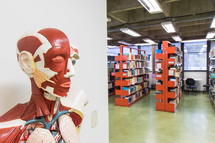 Boneco ‘Zé’ é o mascote da Biblioteca da EEFFTO