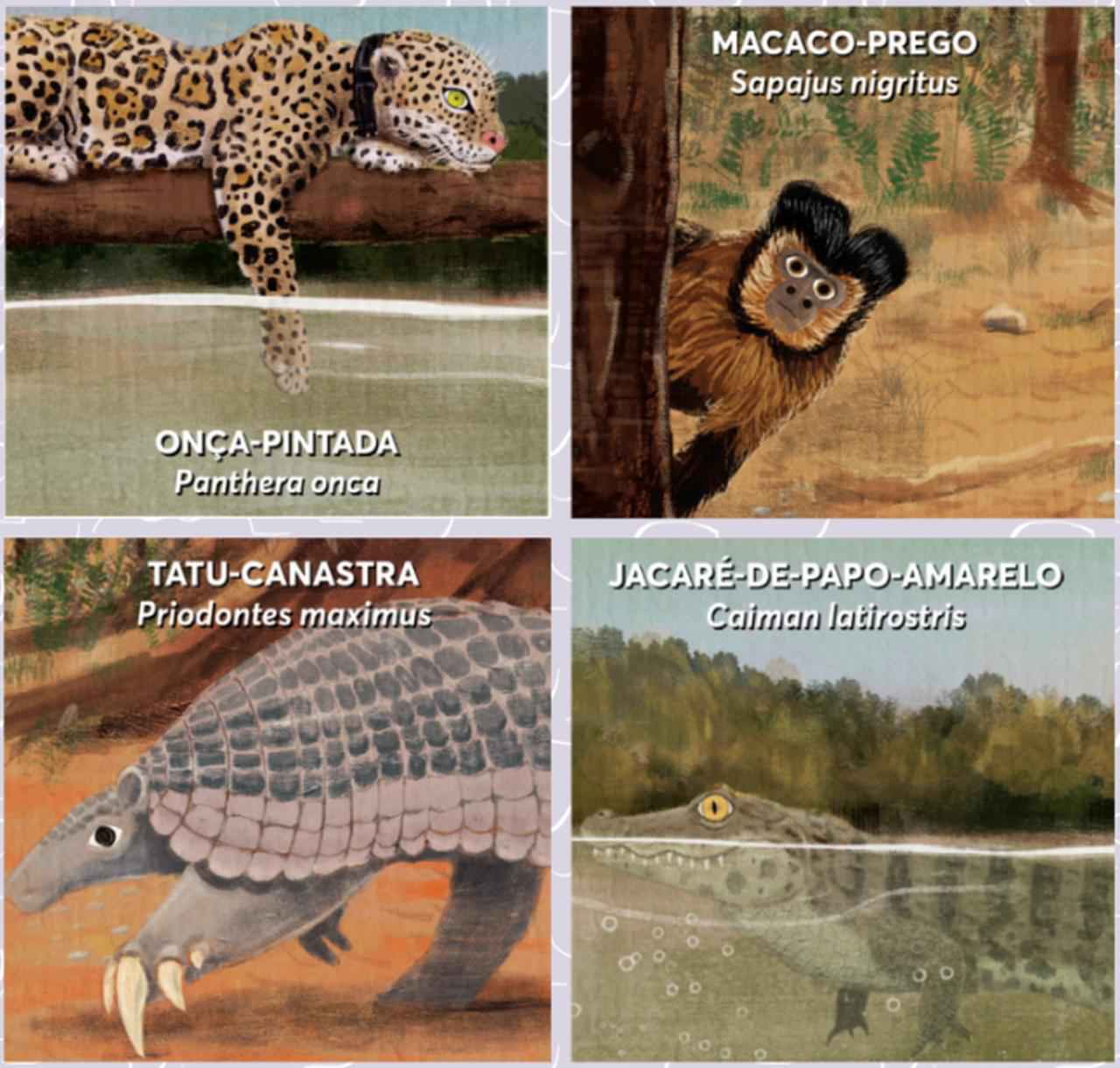 Algumas das espécies retratadas no álbum