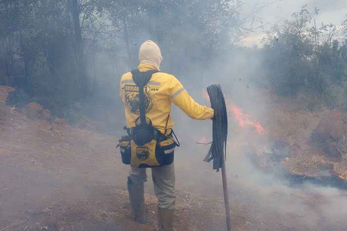 Incêndio na Serra do Rola Moça: decisões precisam otimizar tempo e recursos