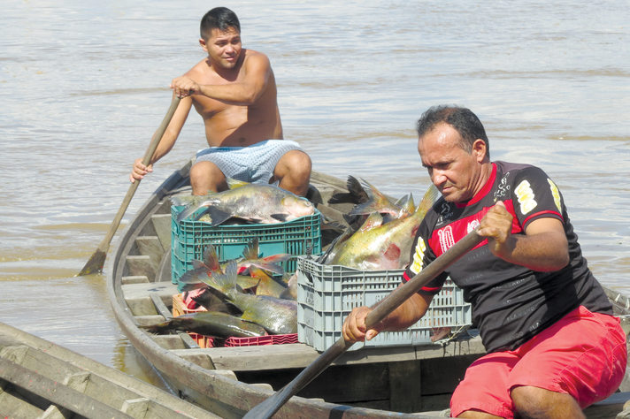 Pescadores no Rio Madeira: banco de dados de 20 anos
